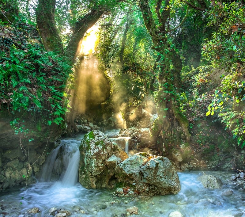 Rainforest Waterfall